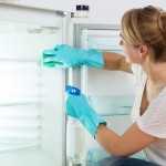 冷蔵庫のニオイをキレイに消臭させる6つのアイテム