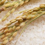 知らぬ間に虫が湧いているかも。「お米」の虫除けテクニック